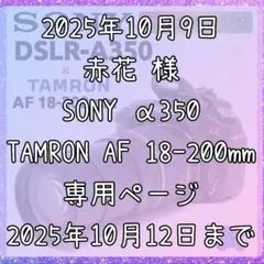 Item thumbnail for item bd656a18-308e-48f0-bc00-80859009f411