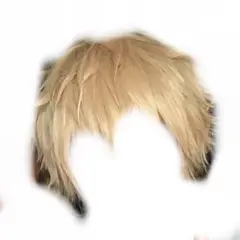 デンジ ウィッグ セット済