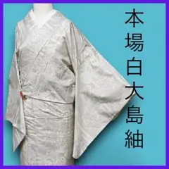 M4407★ 着物淡雪 ★ 本場白大島紬　白泥大島　ヱ霞に風景模様織り出し
