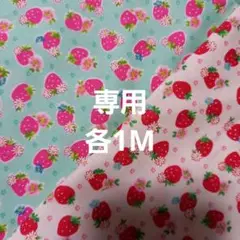専用　生地　1M2枚セット