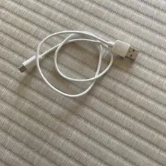 USB Type-C to USB A ケーブル