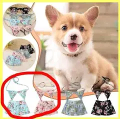 犬服 ビキ二ペット服水着 水泳着　花柄 入浴ドレス 伸縮性 ドッグ　Mサイズ
