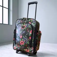 フェイラーキャリーバッグ美品 新品未使用】限定品 FEILER フェイラー ハイジ ハードトローリー