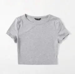 グレー クロップド Tシャツ 半袖