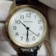 ENDURO 腕時計 EW-2131