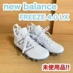 Item thumbnail for item dfc06969-5392-46b9-bf8f-439916df9a54
