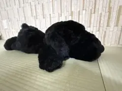 黒いSNOOPYぬいぐるみ