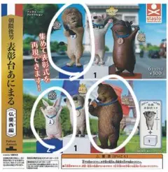 アニマルアトラクション 朝隈俊男 表彰台 あにまる 仏蘭西編