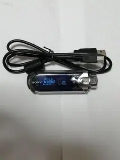 SONY WALKMAN NW-E407 ソニー ウォークマン 1GB 送料無料 Sony NW-E407 Black Network Walkman Mp3 Audio Player 1GB Used