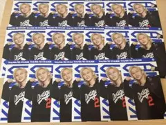 StrayKids スキズ KARMA コンパクト フィリックス フォトカード