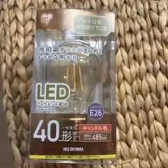 IRIS OHYAMA LEDフィラメント電球 E26 40W相当