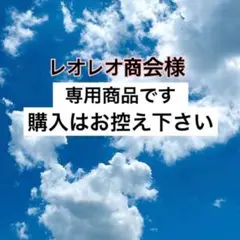 シャンパン ローランペリエ 中瓶 2本