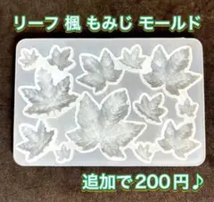 Item thumbnail for item 1c9c26bd-c25a-4641-84de-69bd0fc3787c