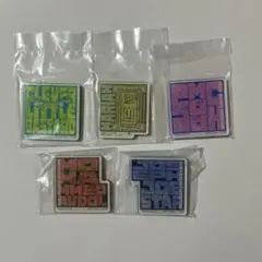 一番くじ ジョジョの奇妙な冒険I賞 マライアのアクリルマグネット 5種