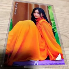 乃木坂46　井上和　ポストカード
