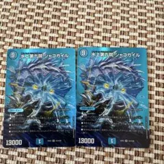 シャコガイル　2枚