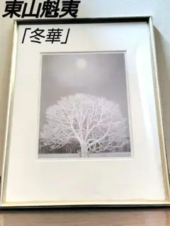 Item thumbnail for item 80670915-dce9-4558-89a0-ed3c778fd5bd