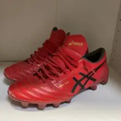 asics DS LIGHT X-FLY 4(23.5)