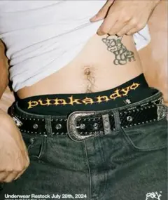 punkandyoボクサーパンツM1枚