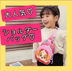 パウパトロール　パウ・パトロール　スカイ　ショルダーバッグ　ボディバッグ