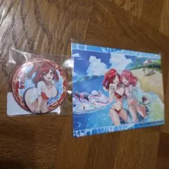 WEBくじ　ドルフィンウェーブ　入華　2点セット