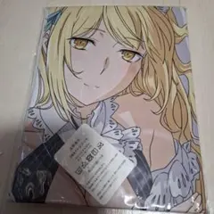 アイズ・ヴァレンシュタイン　抱き枕カバー