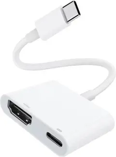 USB Type-C HDMI変換アダプター 100W PD対応