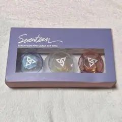 seventeen ペンライトアクセサリー