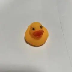 アヒル∧( 'Θ' )∧