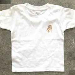 【柴犬】オリジナルイラスト　キッズTシャツ　100㎝　《おまけ付き》
