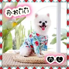 Item thumbnail for item d5cf94bf-4d88-46b0-9813-295ced484cf8