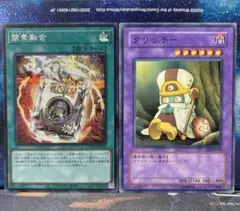 簡素融合シク　クリッチー　2枚セット