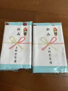 岸和田上町青年団 旧市だんじりタオル2枚