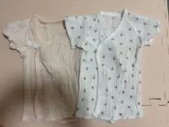 Item thumbnail for item 7f80708f-70fe-45b9-a539-8a685977b8b5