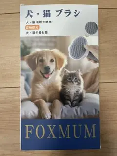 Item thumbnail for item bcbc5c46-f3aa-4436-8988-b98f2622090e