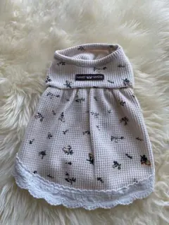 Item thumbnail for item e43be9ca-1b06-48b2-b9ab-ed7be7bb751c