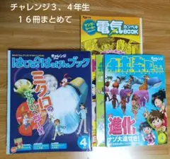 2025年最新】チャレンジ3年生 2011の人気アイテム - メルカリ