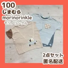 しまむら 半袖 Tシャツ 2枚セット　カットソー モリノリンクル　くま　100