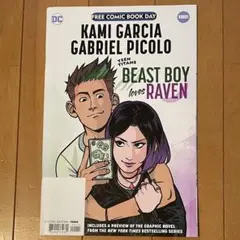 セール！ 洋書　アメコミ　Teen Titans　DCコミックス　2冊セット セール！ 洋書 アメコミ Teen Titans DCコミックス 2冊セット 漫画