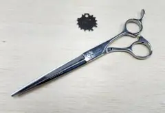 Item thumbnail for item dd053730-6bd0-4ab8-a6a4-f4cdd1ab722c