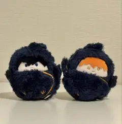 【新品】くるみたぴぬい 日向翔陽 影山飛雄 ハイキュー!!
