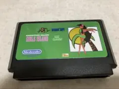 新品■Tina's Adventure Island■ファミコン ティナの冒険島