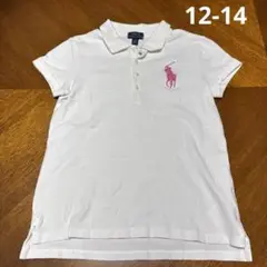 Item thumbnail for item 7fbc0337-f259-4d54-ab63-ac44019a7264