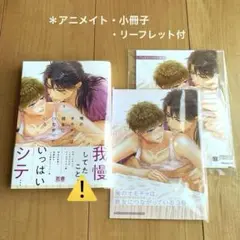 俺のオモチャは親友につながっている3 アニメイト　小冊子　リーフレット BL新刊