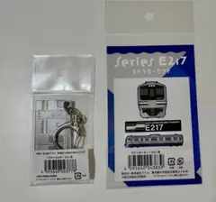 2025年最新】e217系 キーホルダーの人気アイテム - メルカリ