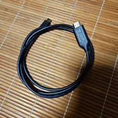 Type-C to HDMIケーブル 1m USD-FH10/BK