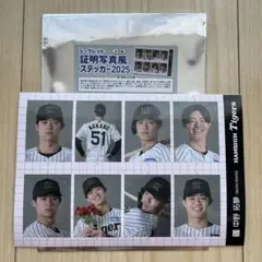 阪神タイガース シークレット証明写真風ステッカー2025
