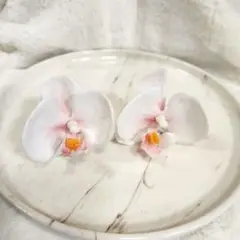 Item thumbnail for item 3594f017-c78e-4ca0-95be-84f3c6db7537