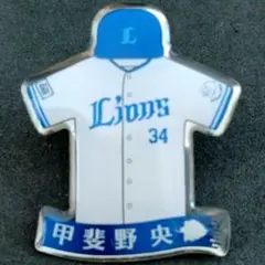 埼玉西武ライオンズ　甲斐野央