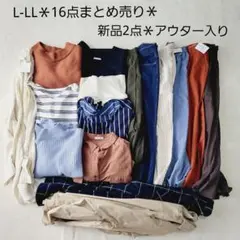 No.2210159*L-LLサイズ*16点まとめ売り*新品2点秋冬*SM2他